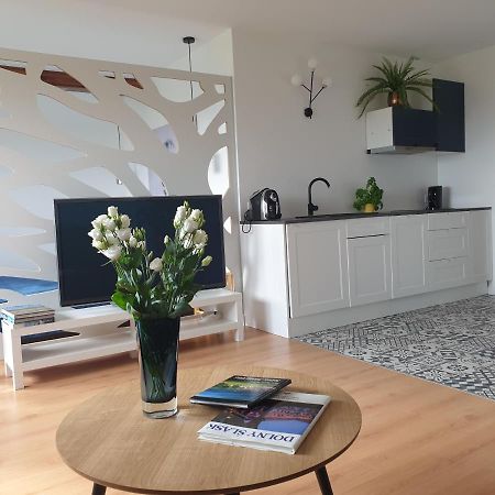 Apartament Panorama Jezow Sudecki ภายนอก รูปภาพ