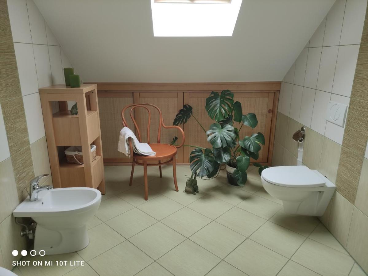 Apartament Panorama Jezow Sudecki ภายนอก รูปภาพ